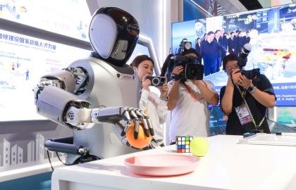 Humanoid Robots for Research and Education