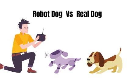Robot Pets vs Real Pets: Practical Differences