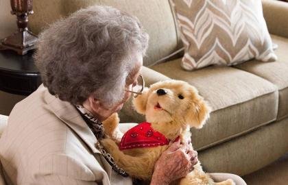 Robot Pets for Elderly Care and Home Use
