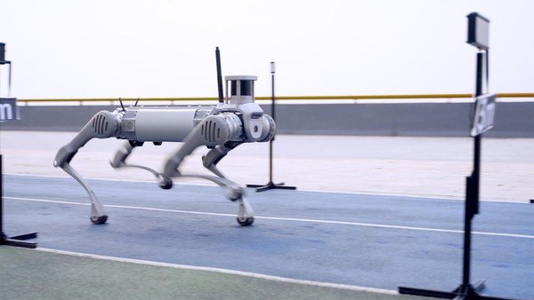 Unitree Robotics B2 Quadruped Robot Dog