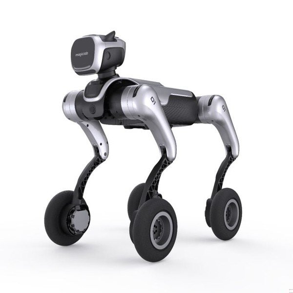 MagicLab MagicDog-W Quadruped Robot