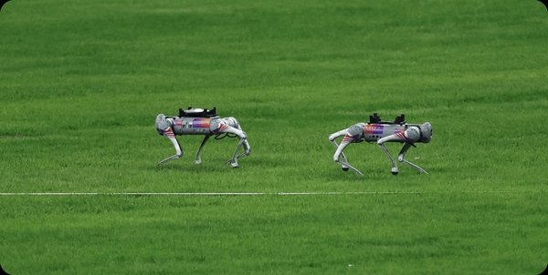 Unitree Robotics Go2 Ent Quadruped Robot
