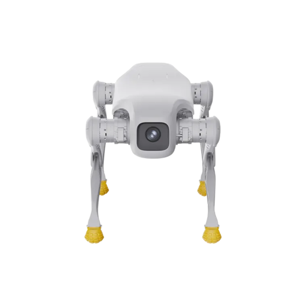 AGIBOT D1 Edu