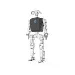 High Torque Robotics PI