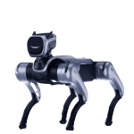 MagicLab MagicDog